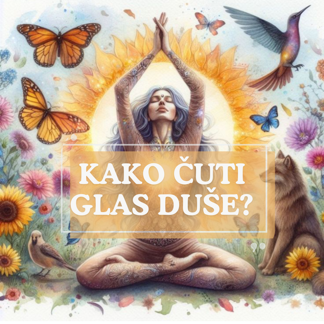 energetska-transformacija-rad-11